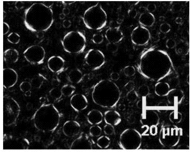 Water-resistant liquid crystal cosmetic