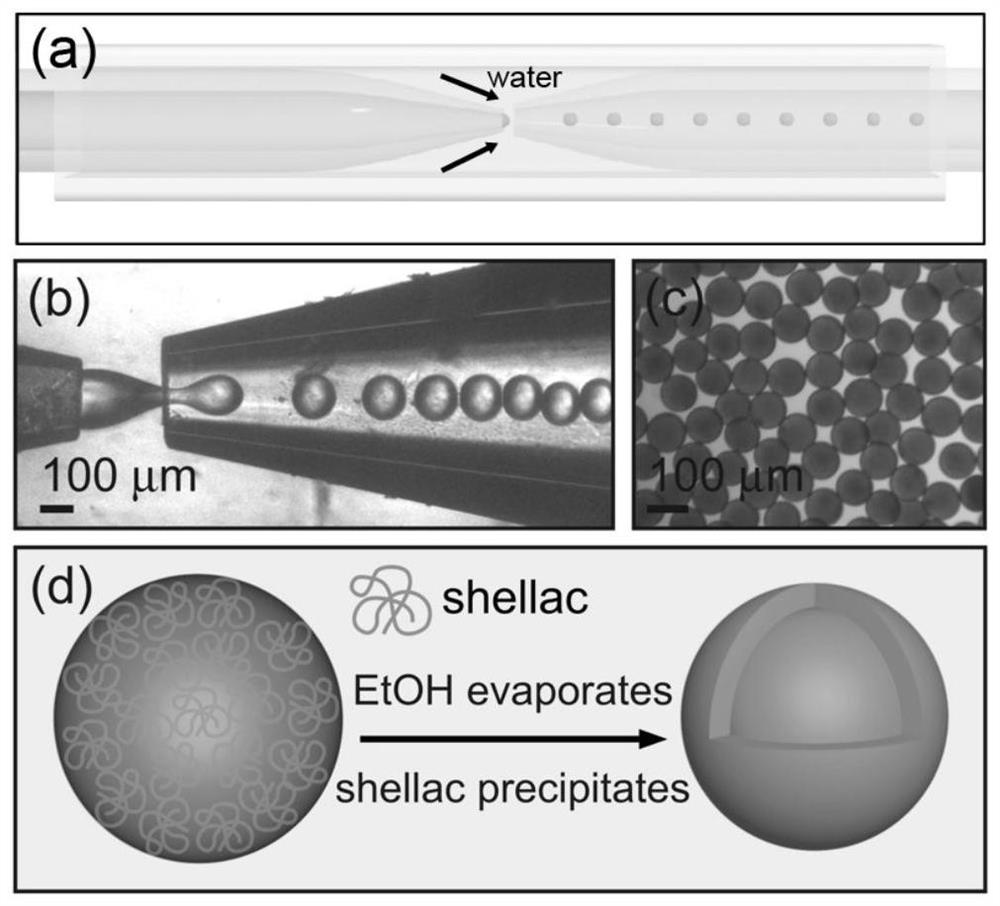 One-step preparation of biocompatible oil-core microcapsules and its application