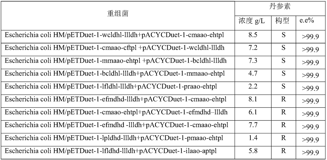 Engineering bacterium, and application thereof in production of Danshensu by using cheap substrate