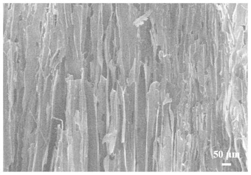 Directional porous structure and preparation method thereof