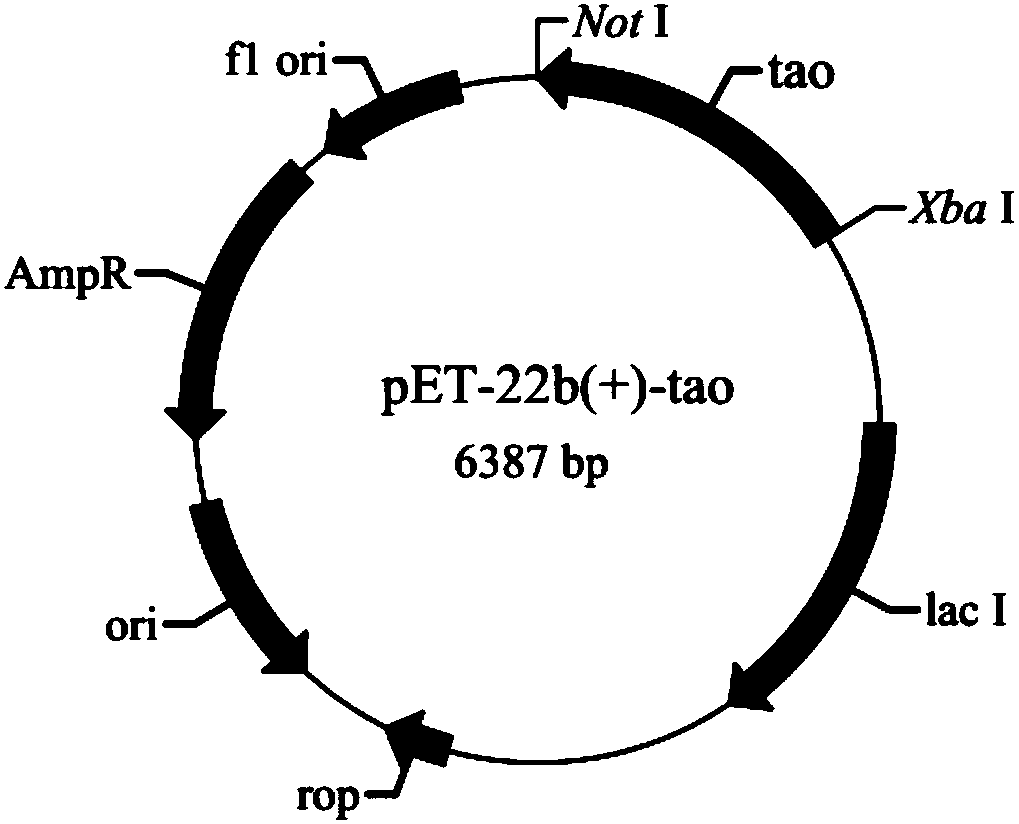 A heliotropin biosynthesis method utilizing recombinant escherichia coli