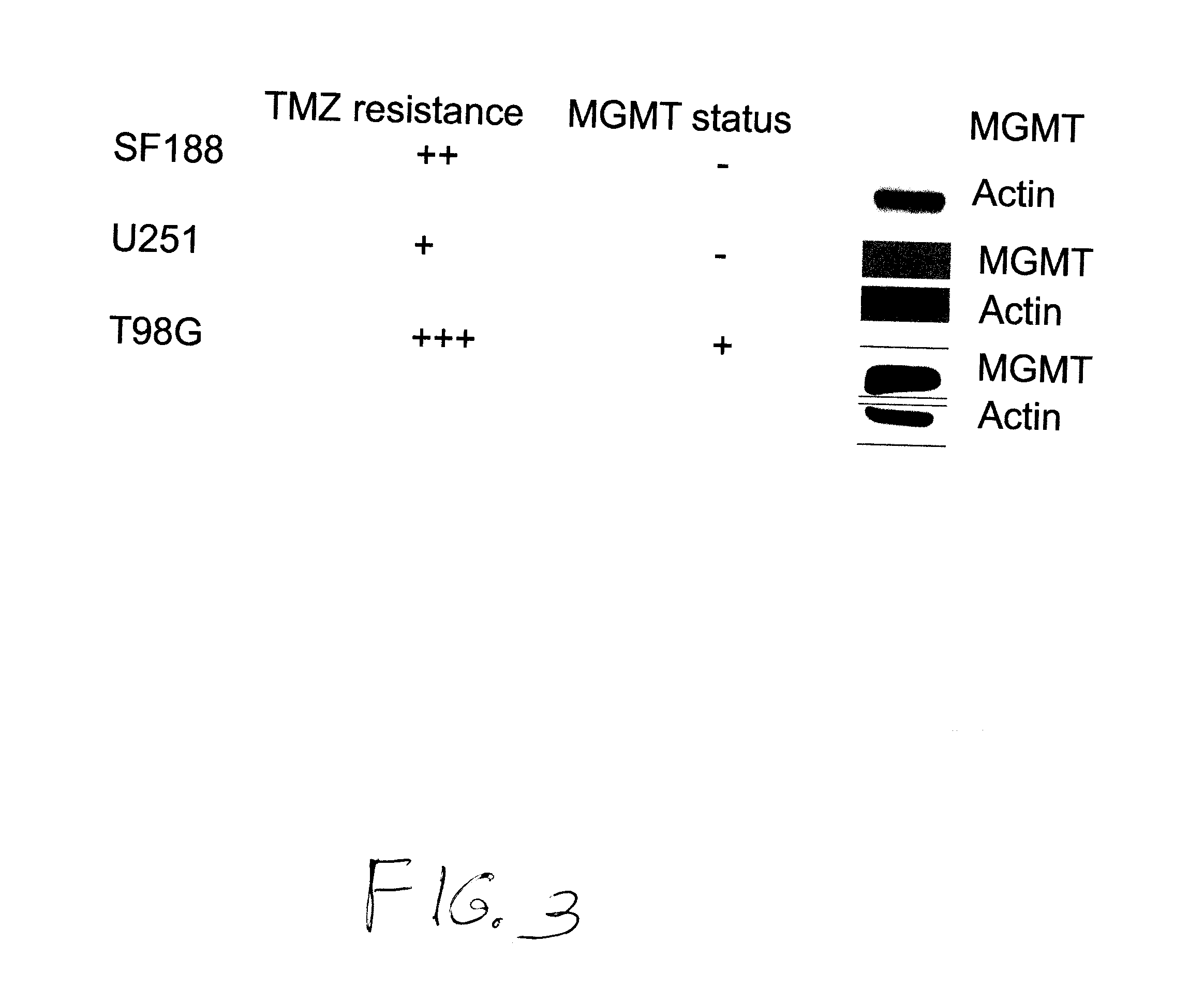Use of substituted hexitols including dianhydrogalactitol and analogs to treat neoplastic disease and cancer stem and cancer stem cells including glioblastoma multiforme and medulloblastoma