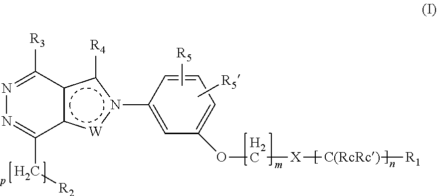 Meta substituted phenylpyrazolo- and phenylpyrrolo- pyridazine derivatives having multimodal activity against pain