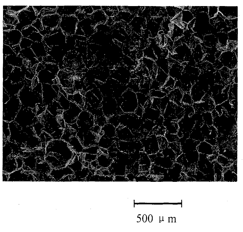 Polypropylene foaming material and production method thereof