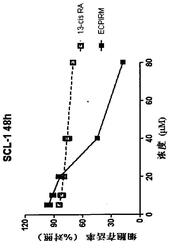 Isotretinoin amido derivative, preparation method thereof and applications thereof