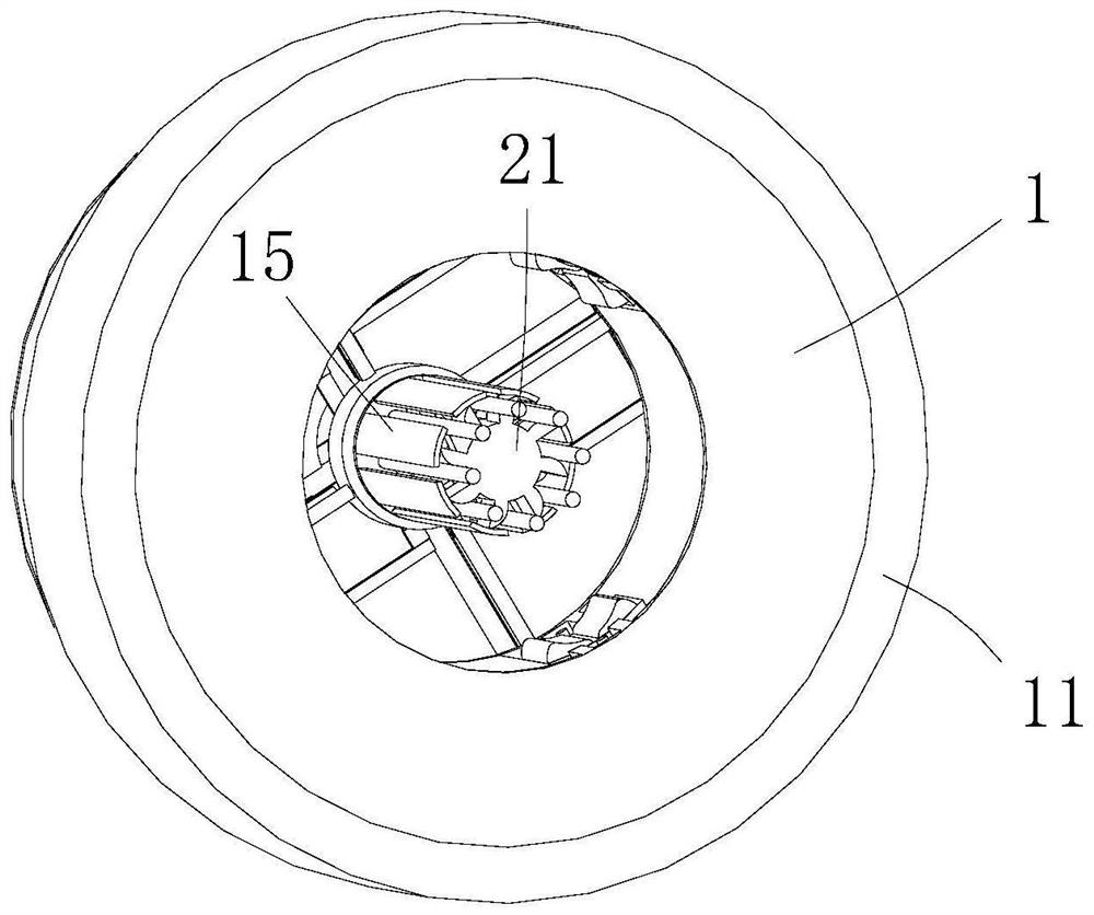 Outer Ring Meaning