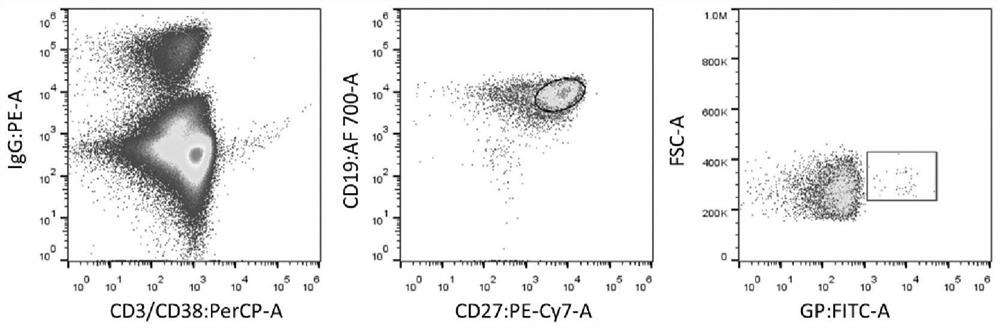 Anti-Ebola virus glycoprotein gp1 subunit monoclonal antibody 4f1 and its application