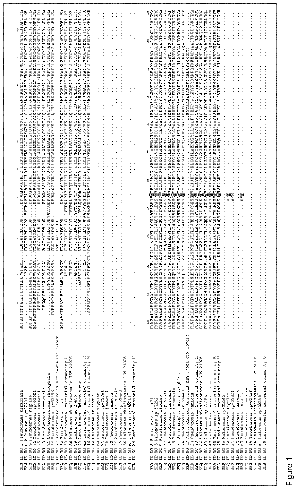 Polypeptide compositions and uses thereof