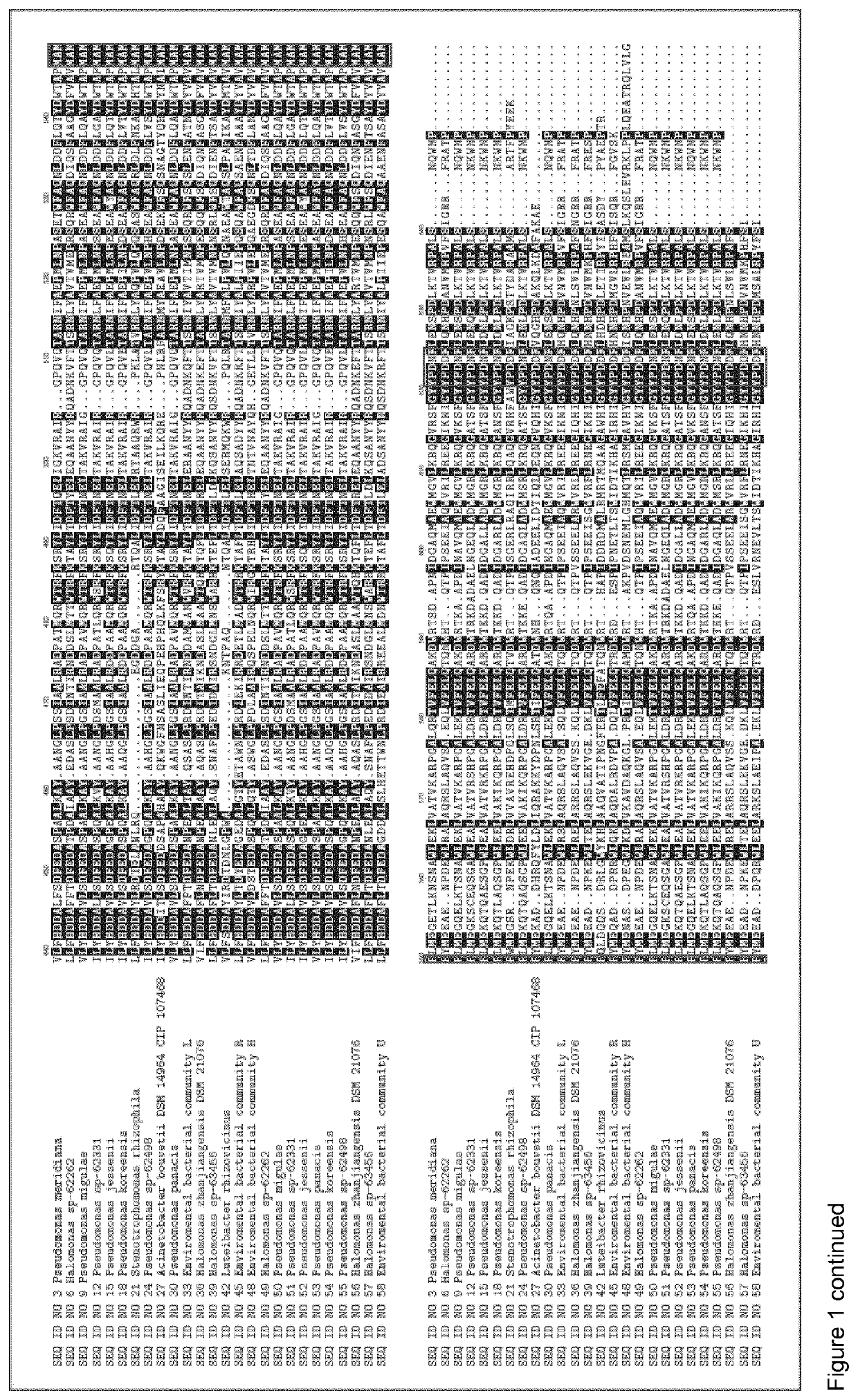 Polypeptide compositions and uses thereof