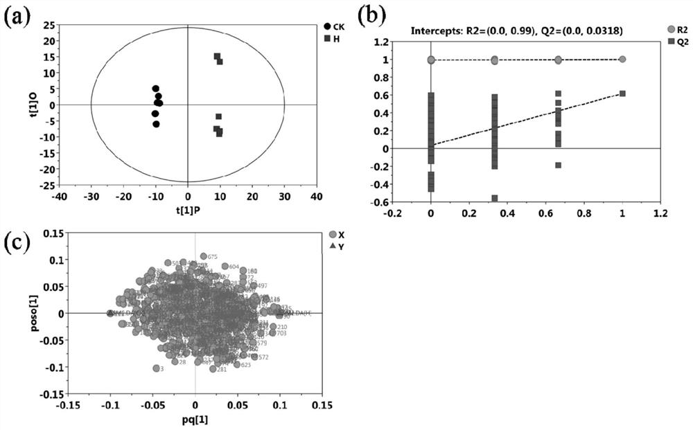 Method for screening key metabolites responding to high-temperature stress of poplar