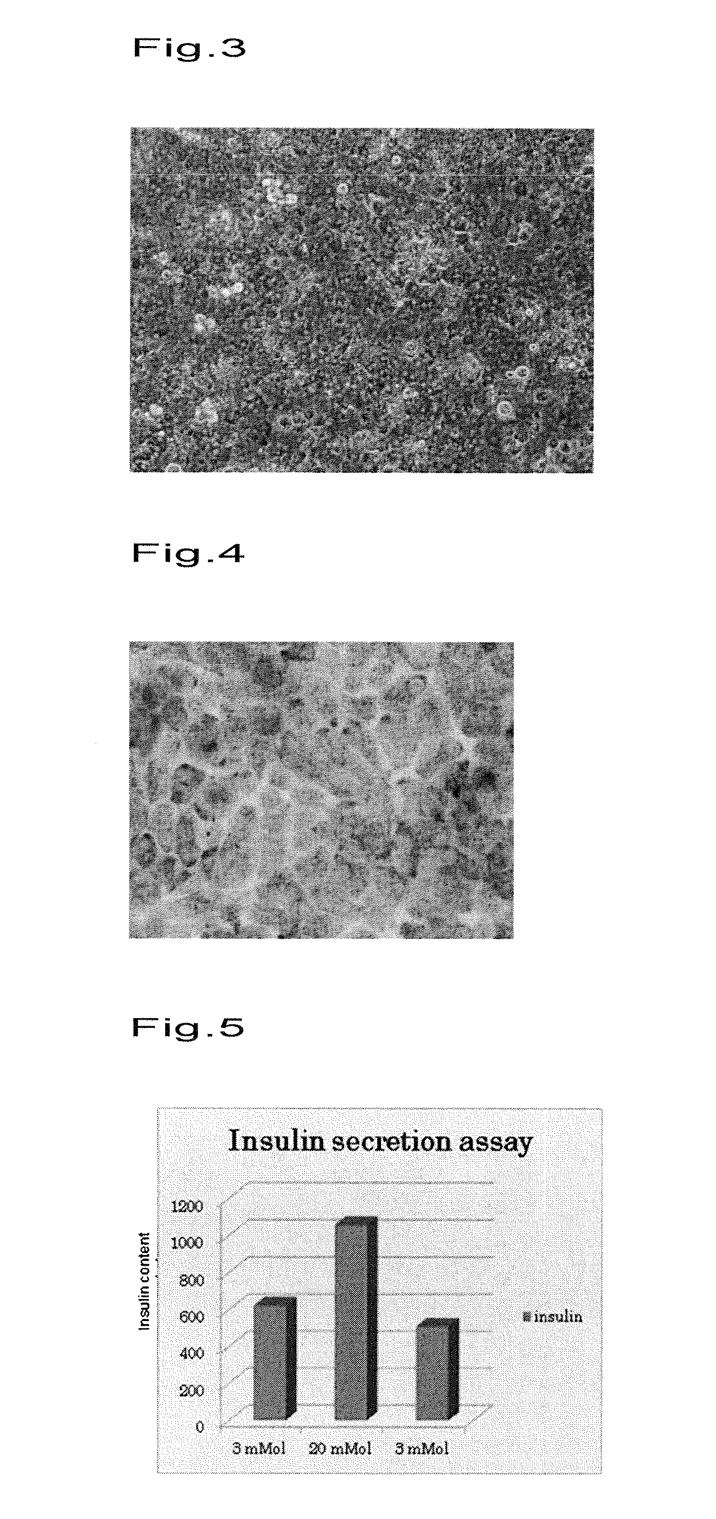 Islet cell sheet, process for production thereof, and use thereof