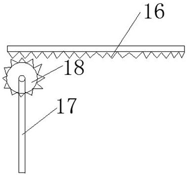 Selectable rainwater filtering device