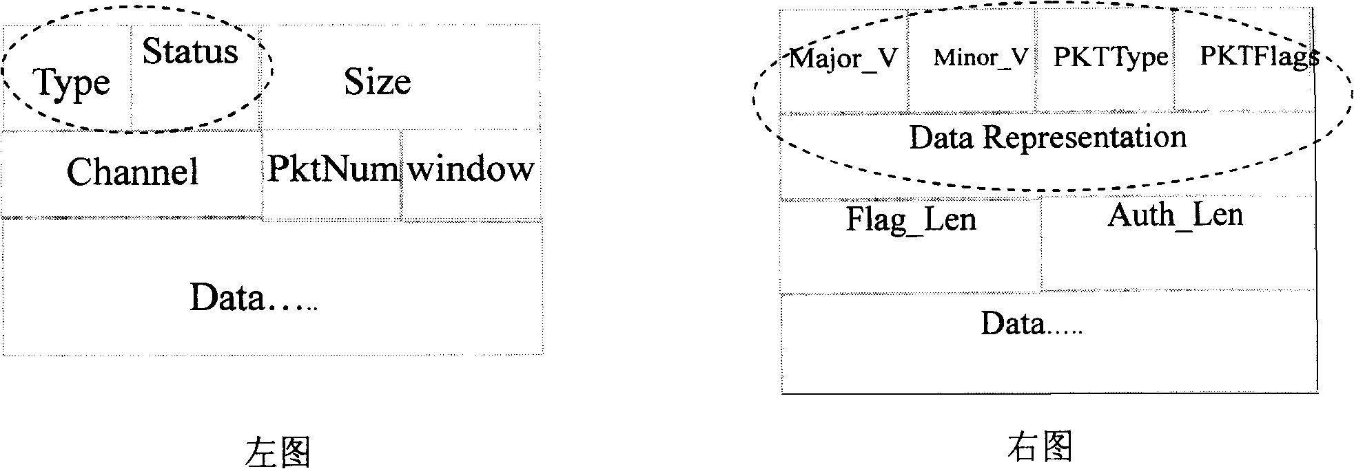 Automatic protocol recognition method and system