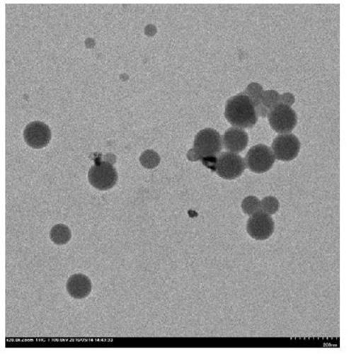 A kind of cross-linked polymer antibacterial nano-emulsion particles and preparation method thereof
