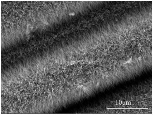 An oxide nanowire-silicon carbide fiber multi-scale reinforcement reinforced resin-based structural wave-absorbing material and its preparation method