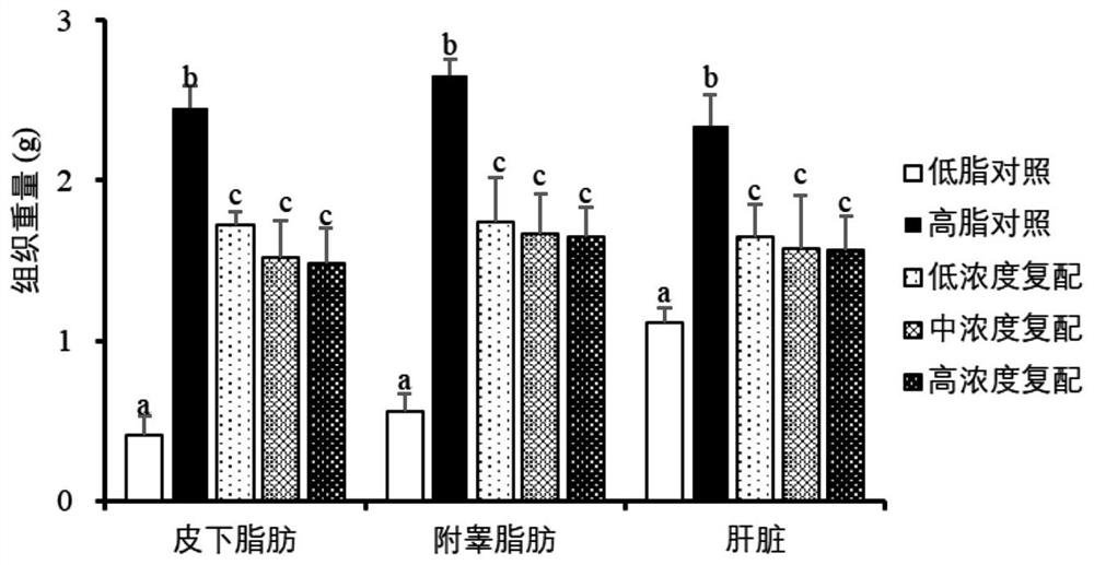 Pharmaceutical composition containing gentisic acid and application of pharmaceutical composition