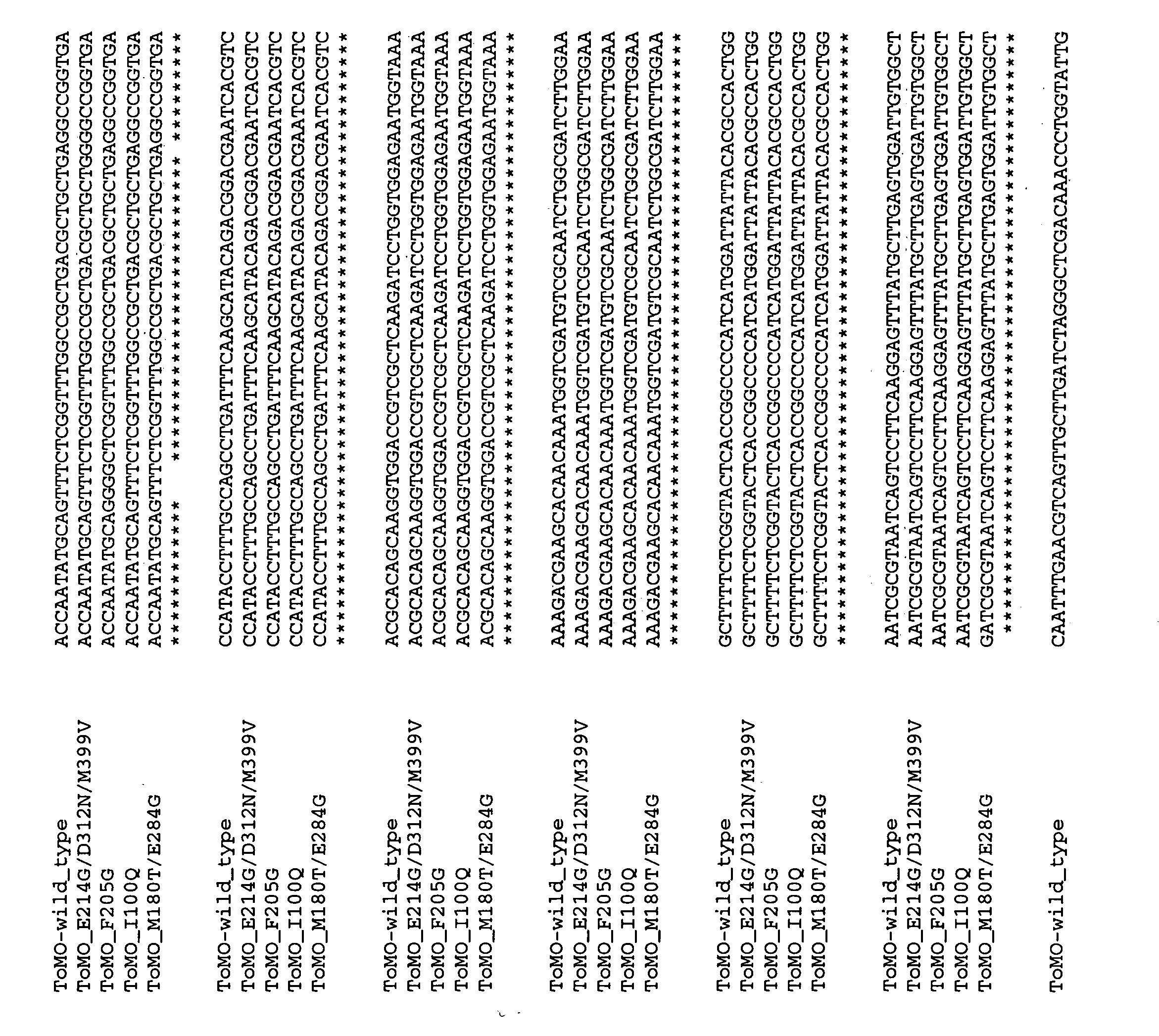 Directed evolution of recombinant monooxygenase nucleic acids and related polypeptides and methods of use