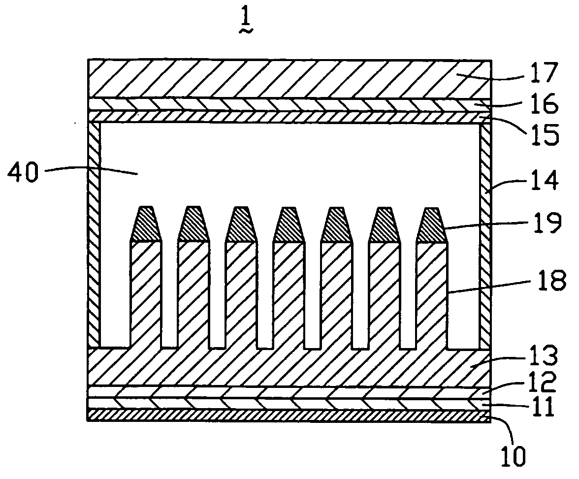 Field emission lighting device