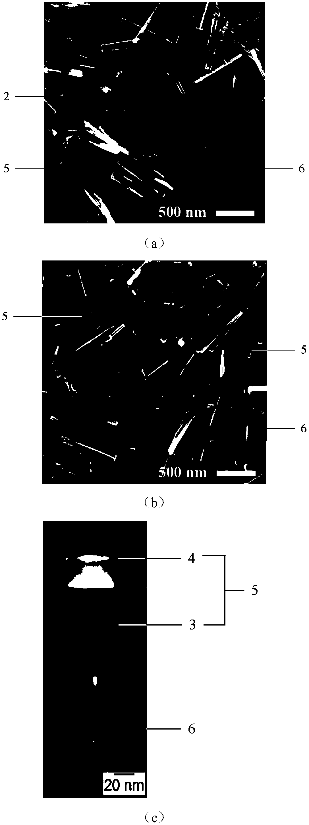 A nanotube-based fluorescent labeling carrier and its preparation method