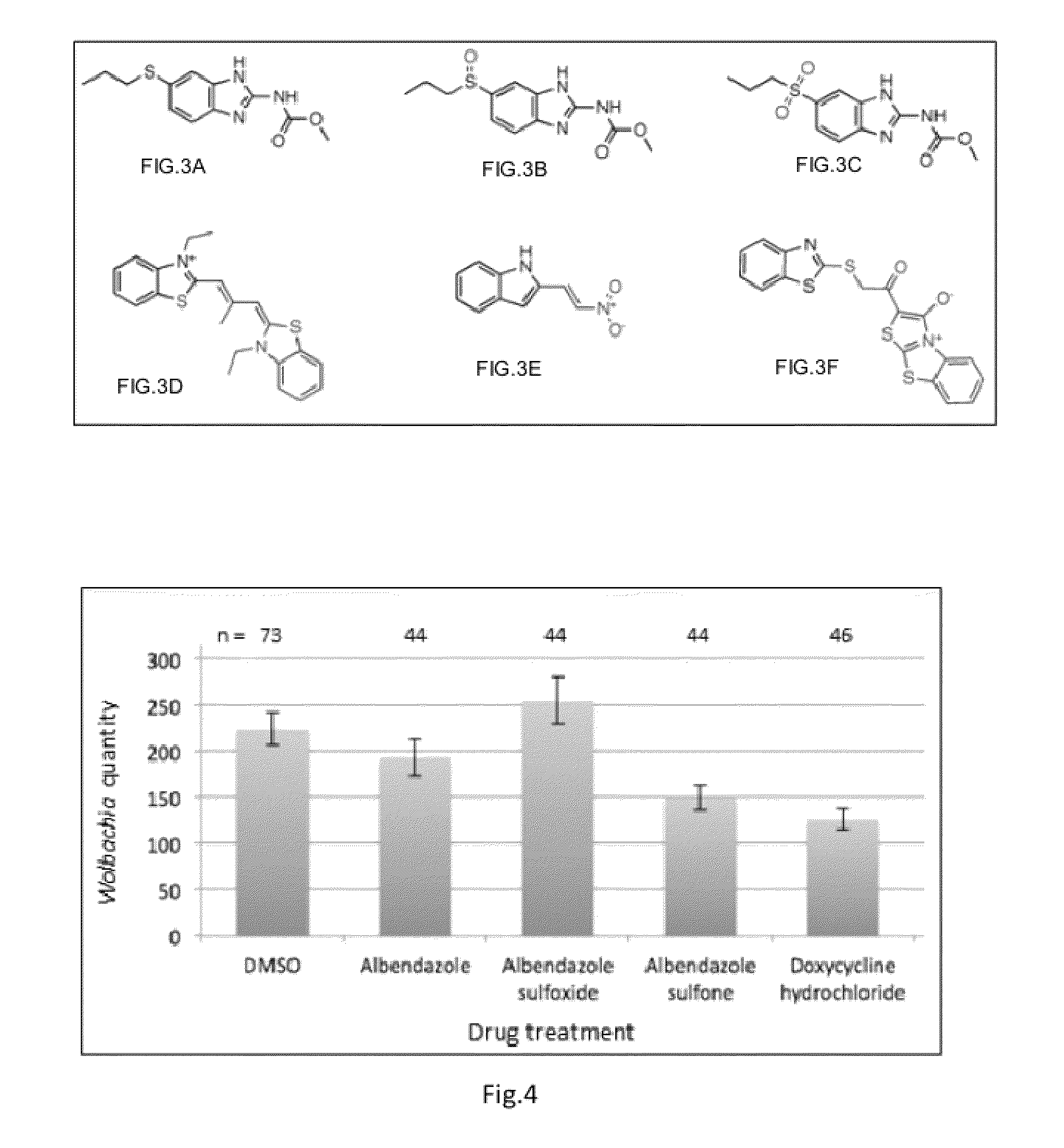 Methods employing wolbachia FtsZ as a target for albendazole sulfone