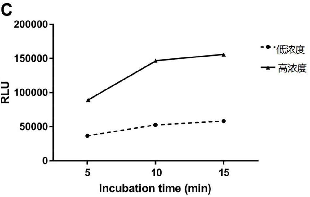 A photoactivated chemiluminescence homogeneous immunoassay kit for human phosphorylated vasodilator-stimulated phosphoprotein and its detection method