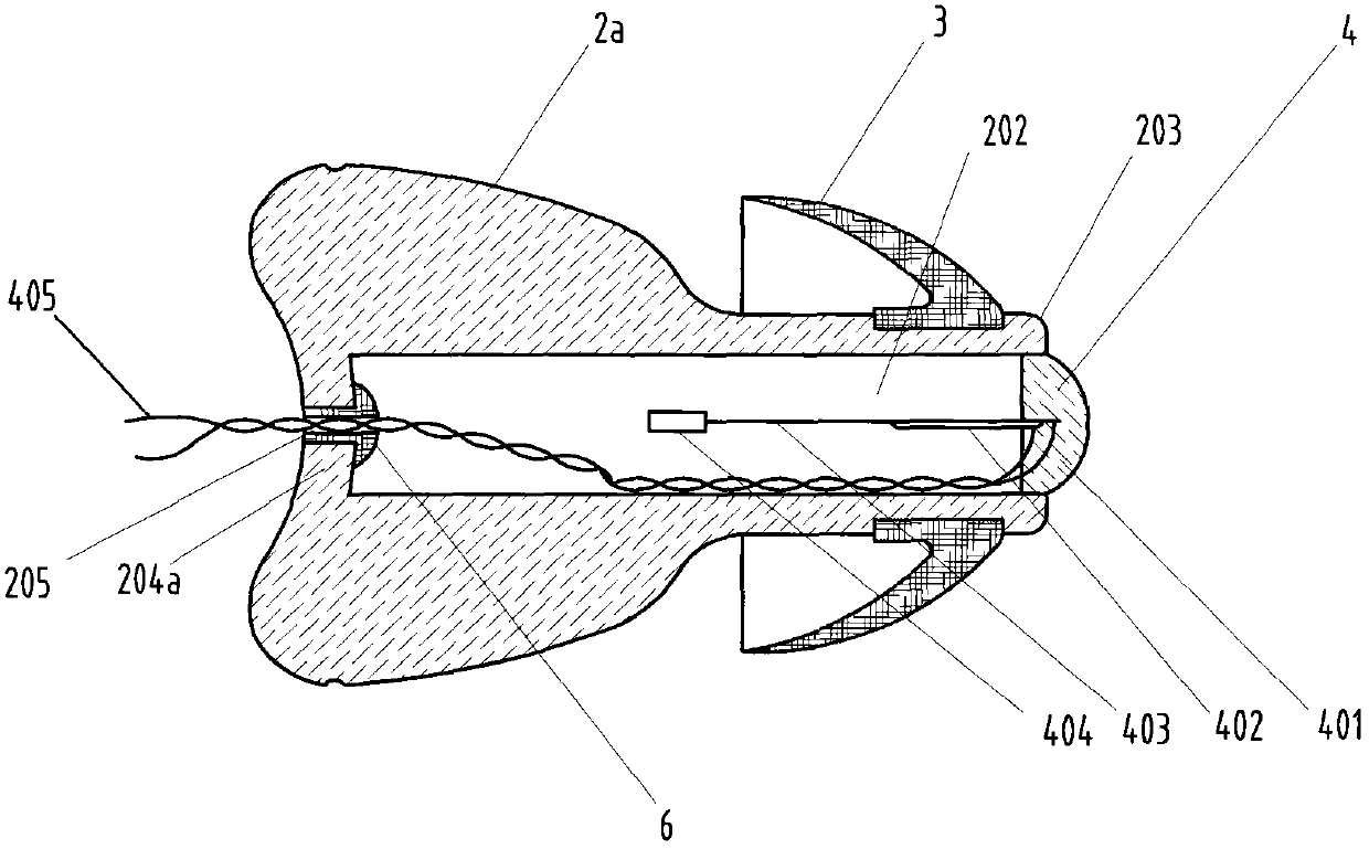 Ear canal microphone