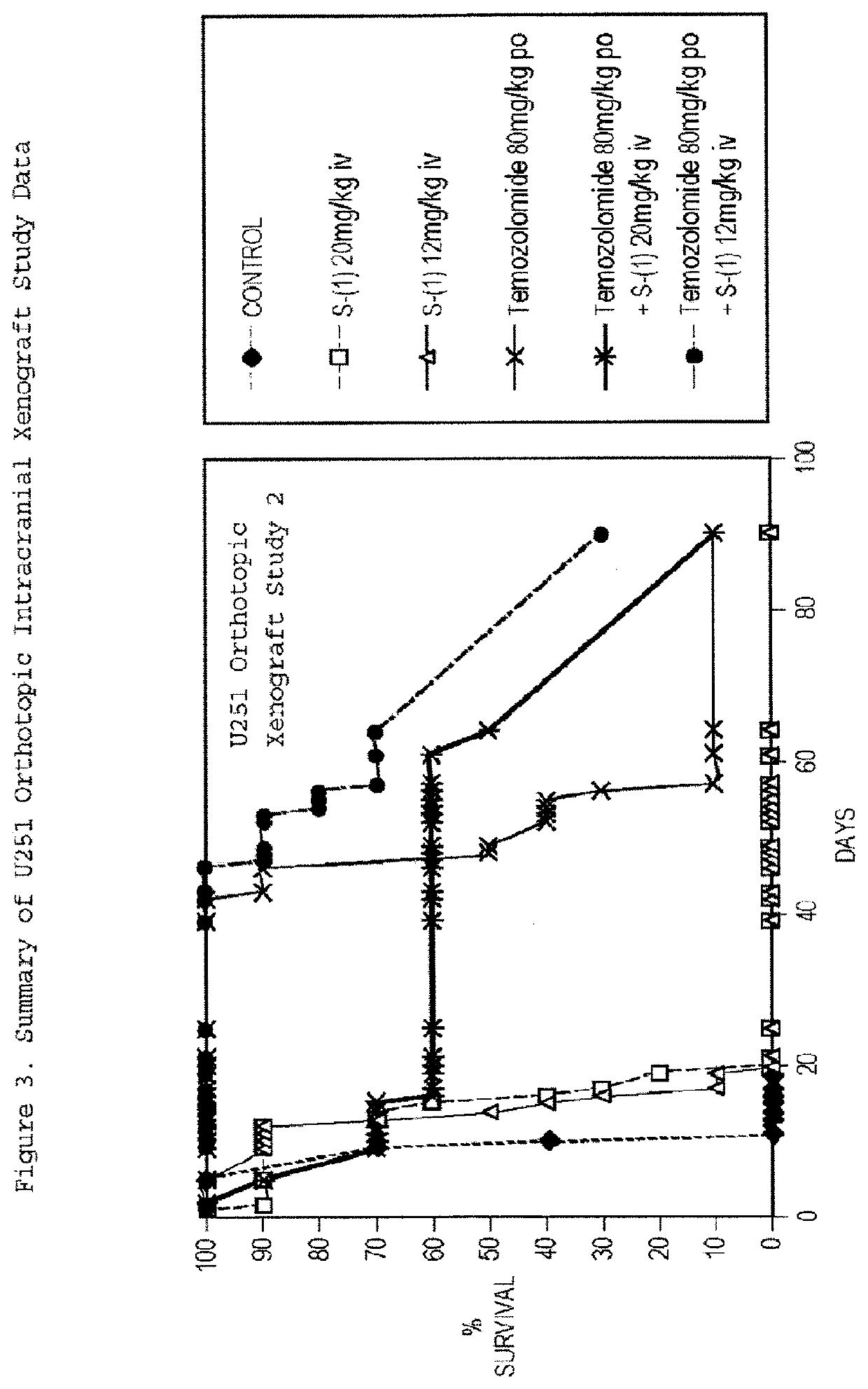 Taxane Analogs for the Treatment of Brain Cancer