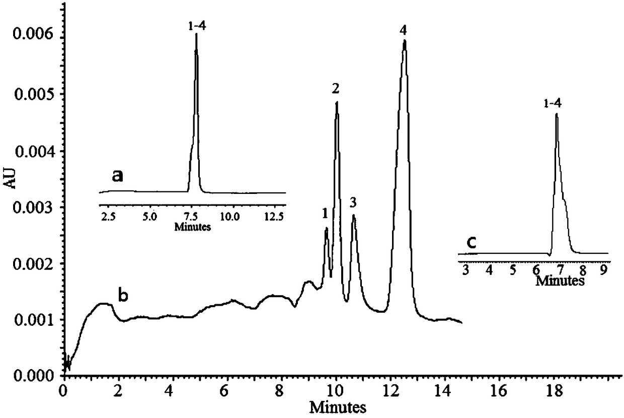 Immobilized liposome capillary monolithic column preparation method and application