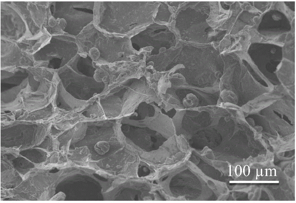 Calcium alginate/hydroxyapatite nano compound double drug loading porous scaffold containing biodegradable polyester microspheres and preparation method thereof