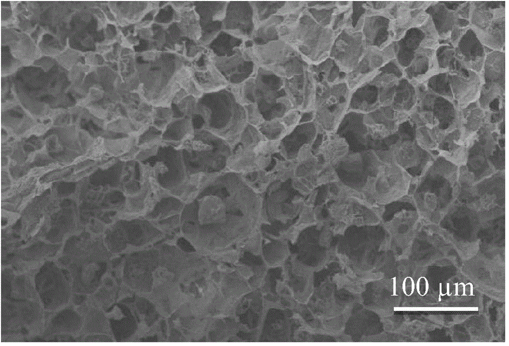 Calcium alginate/hydroxyapatite nano compound double drug loading porous scaffold containing biodegradable polyester microspheres and preparation method thereof