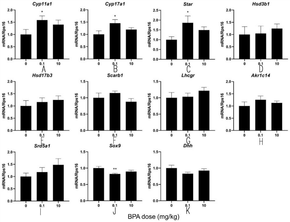 Test method for increasing serum testosterone of adult rat by resetting pituitary steady state through bisphenol A exposure