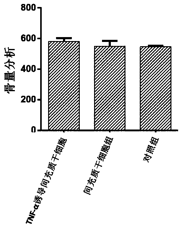 Mesenchymal stem cell preparation and preparing method and application thereof