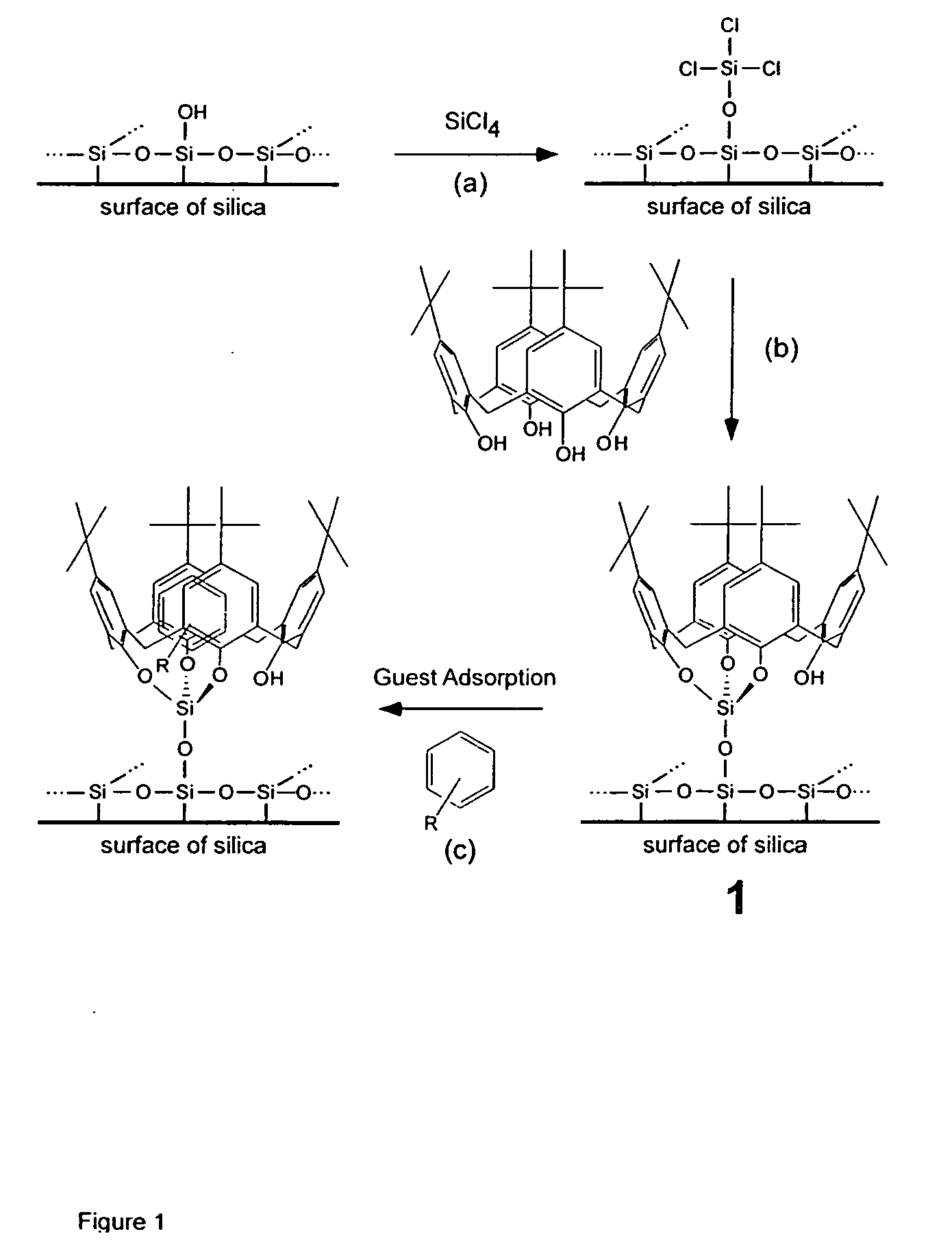 Novel immobilized calixarenes and related compounds and process for their production
