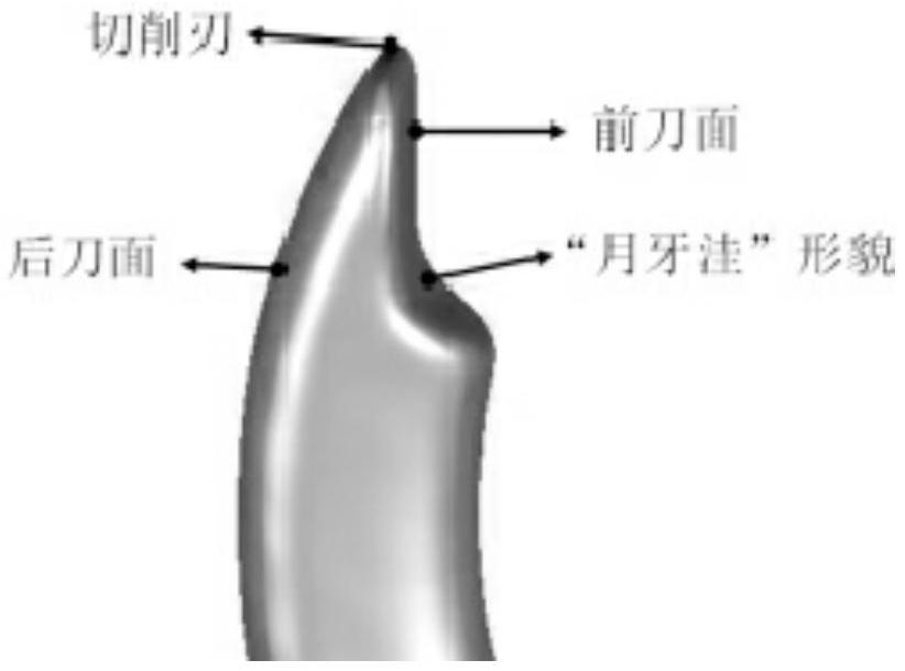 A Bionic Design Method for Micro-textured Turning Tool with Depth Gradient Variation