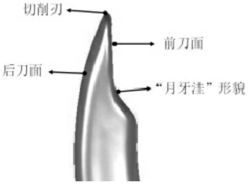 A Bionic Design Method for Micro-textured Turning Tool with Depth Gradient Variation