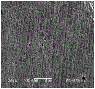 Treating solution for nanometer holes in stainless steel surface and application method of treating solution