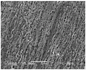 Treating solution for nanometer holes in stainless steel surface and application method of treating solution