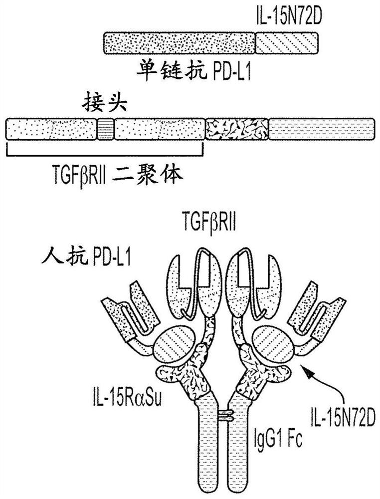 Anti-pdl1, il-15 and tgf-beta receptor combination molecules