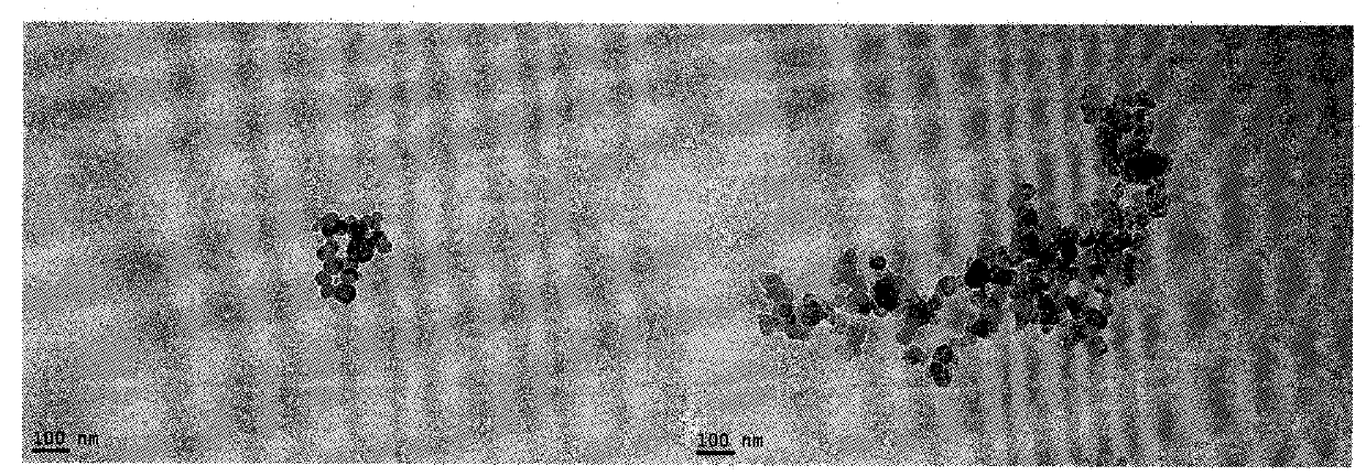 Octapeptide modified dexamethasone, its preparation, nanostructure and application