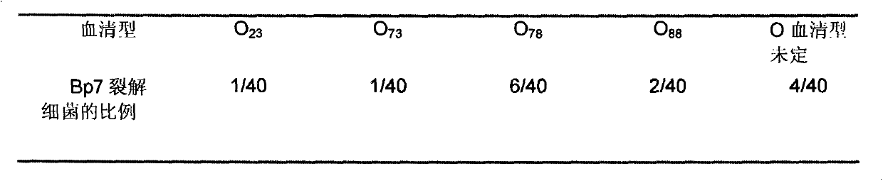 Bacteriophage with environment disinfection capability and applications thereof