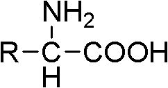 Atorvastatin amino acid and preparation method thereof