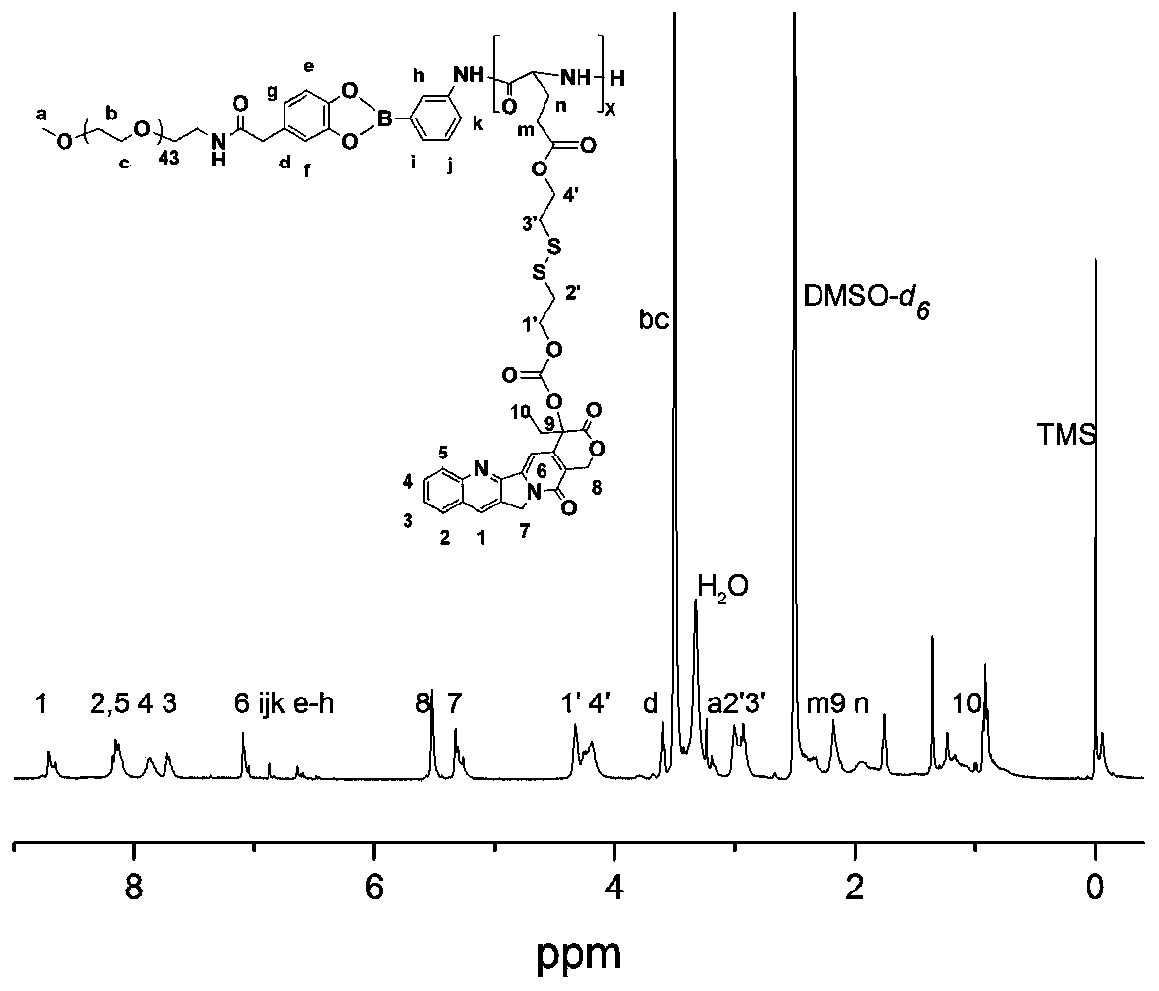 Two-block double-sensitive camptothecin polymer prodrug taking benzeneboronic ester as connecting unit and preparation method of two-block double-sensitive camptothecin polymer prodrug