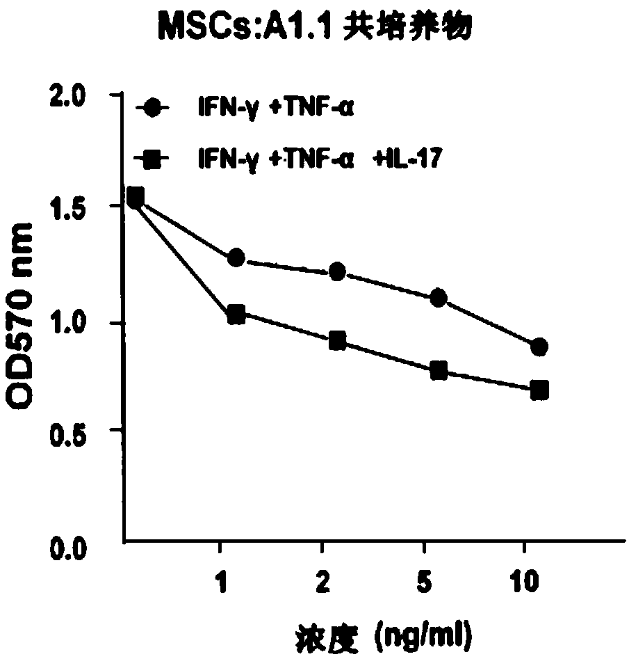 Methods modulating immunoregulatory effect of stem cells