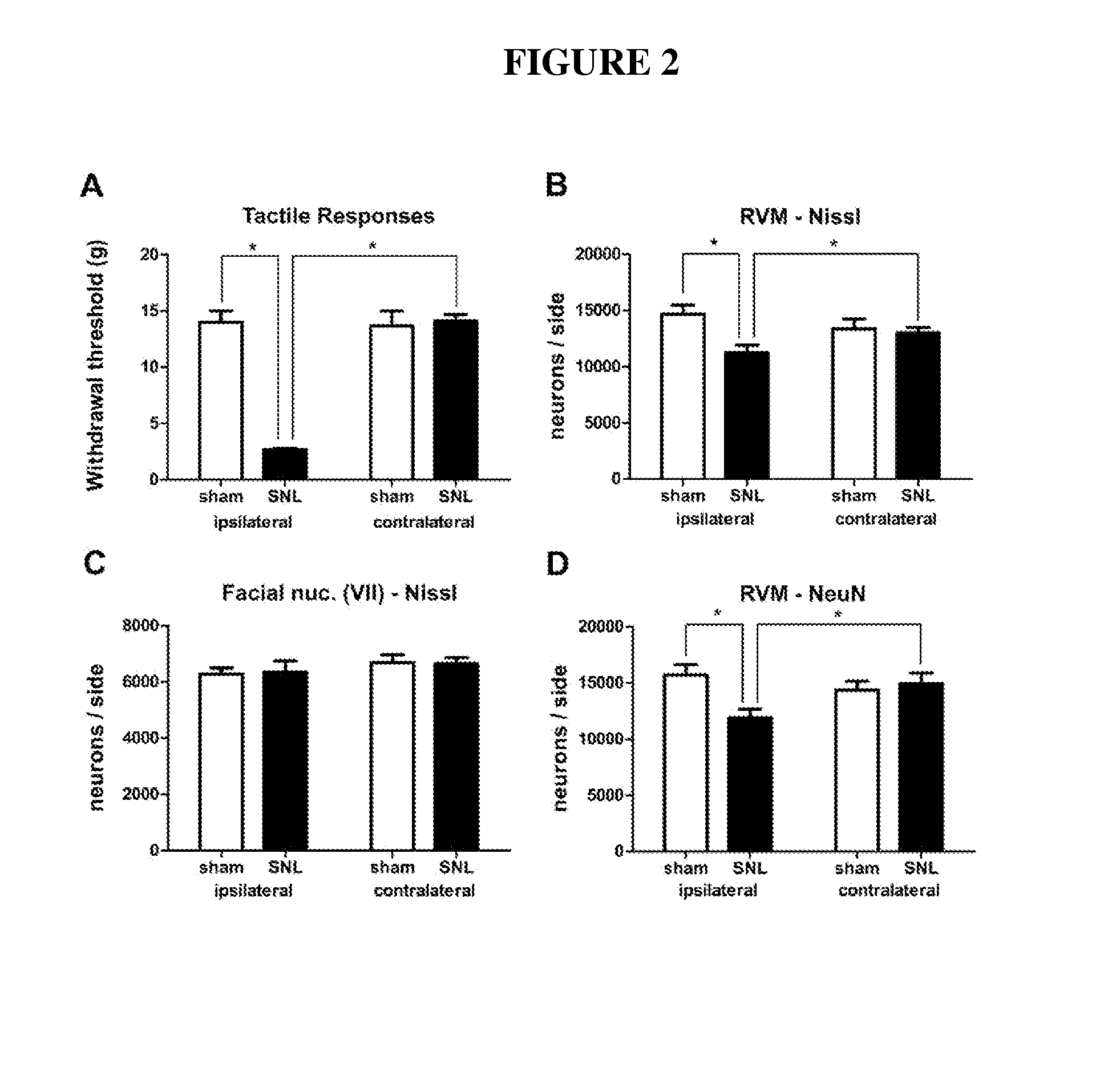 Prevention or attenuation of neuropathic pain and kidney injury by tauroursodeoxycholic acid