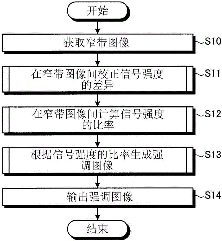 Image processing device, image processing method, and image processing program