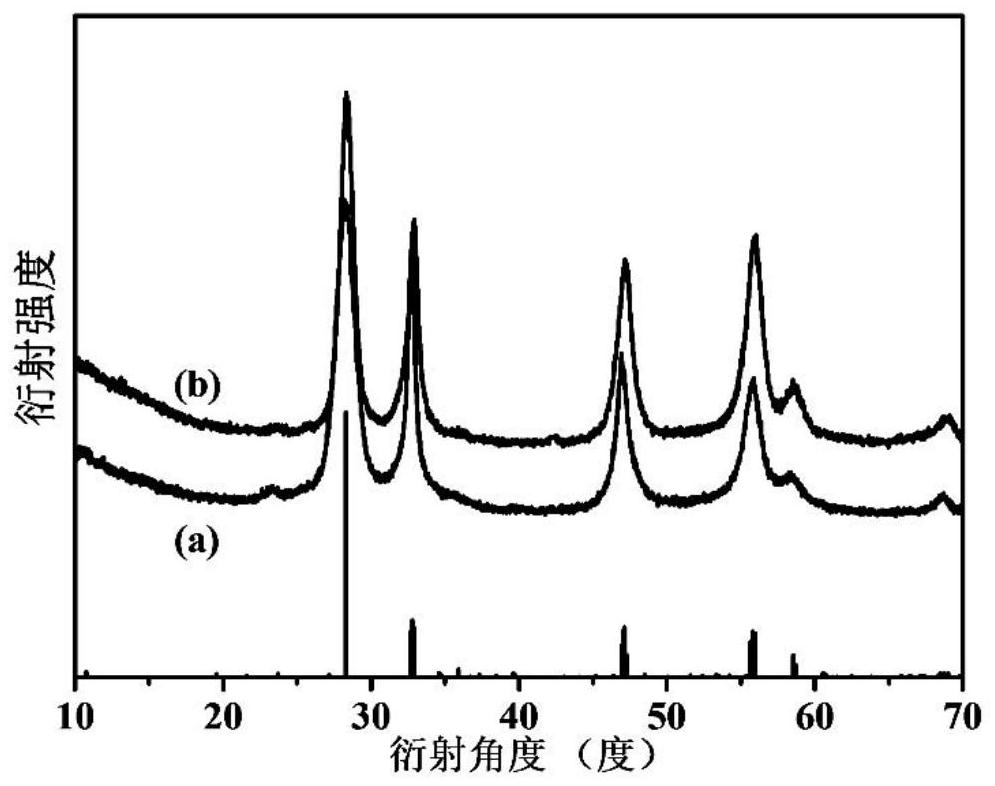 Method for preparing oxygen vacancy-containing bismuth tungstate ultrathin sheet, and oxygen vacancy-containing bismuth tungstate ultrathin sheet and application thereof