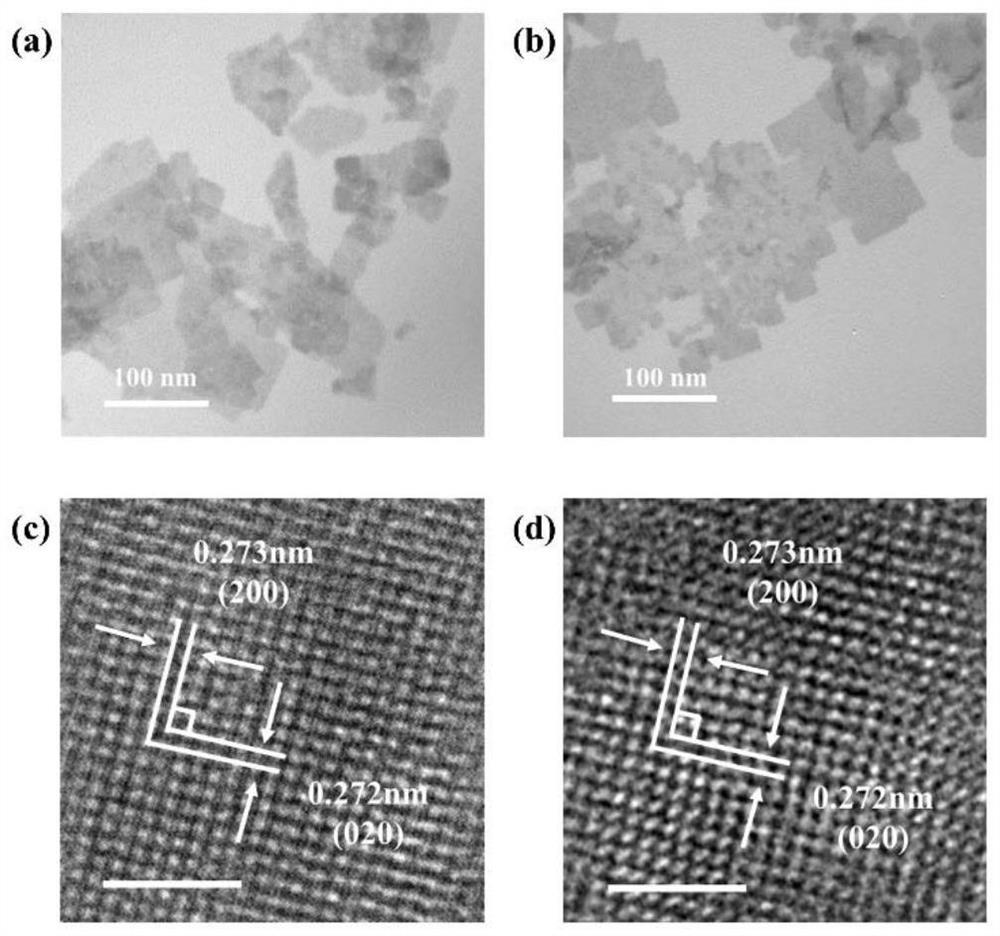 Method for preparing oxygen vacancy-containing bismuth tungstate ultrathin sheet, and oxygen vacancy-containing bismuth tungstate ultrathin sheet and application thereof