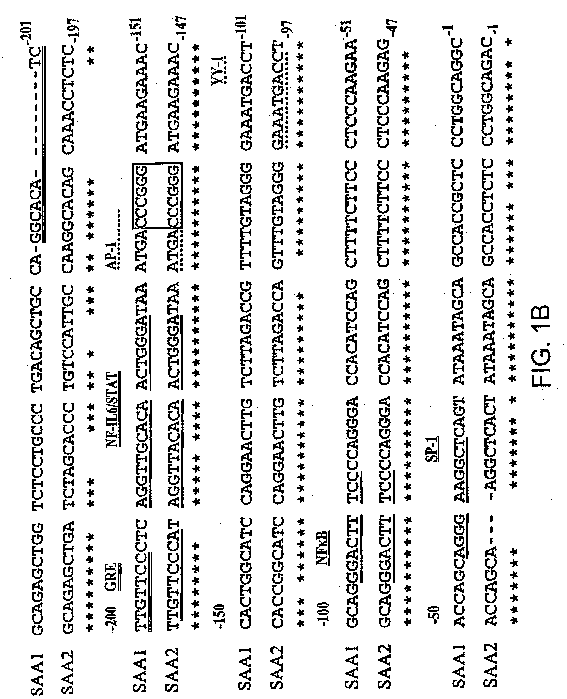 Methods for Determining Drug Responsiveness