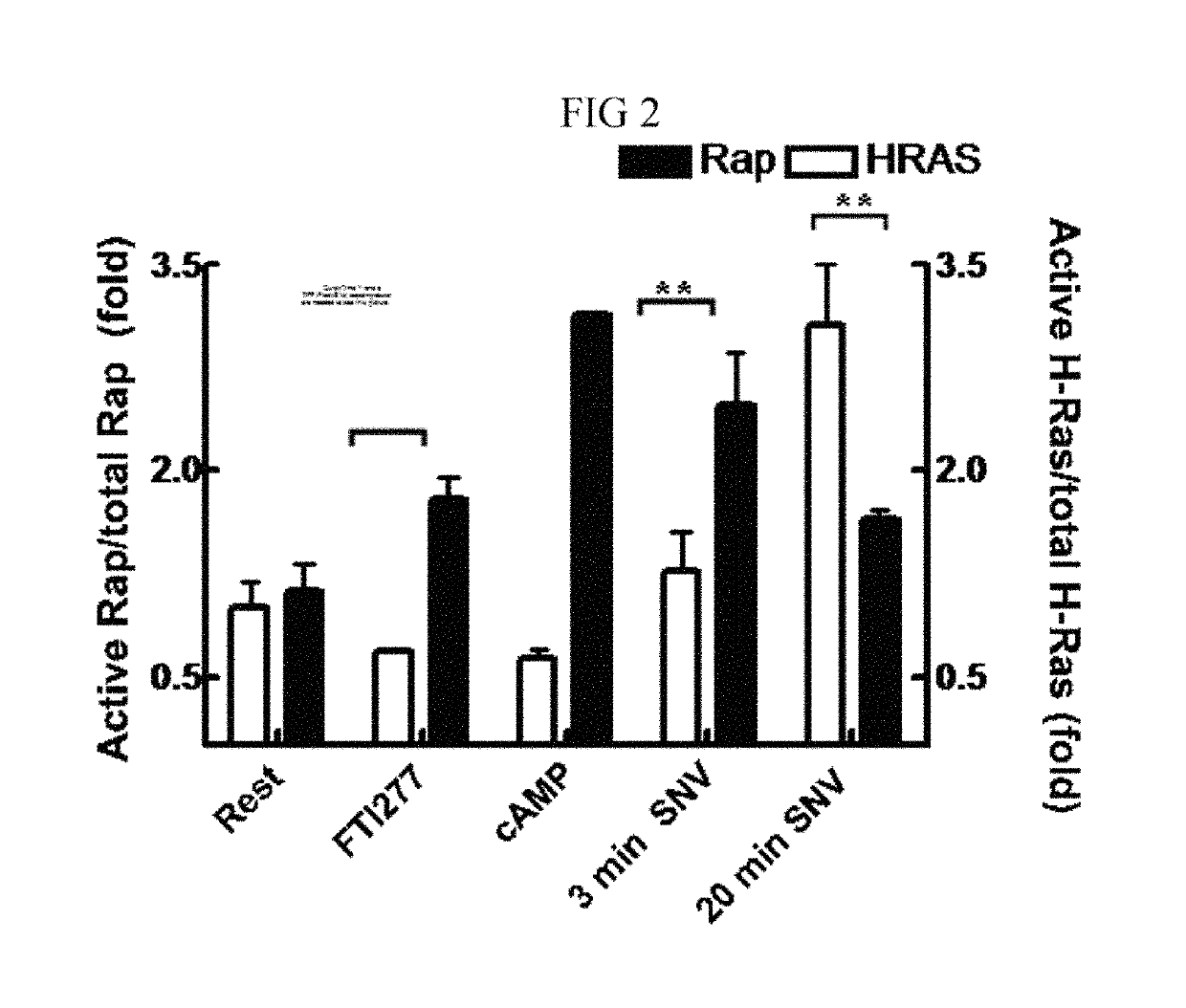 Activated GTPase-based assays and kits for the diagnosis of sepsis and other infections