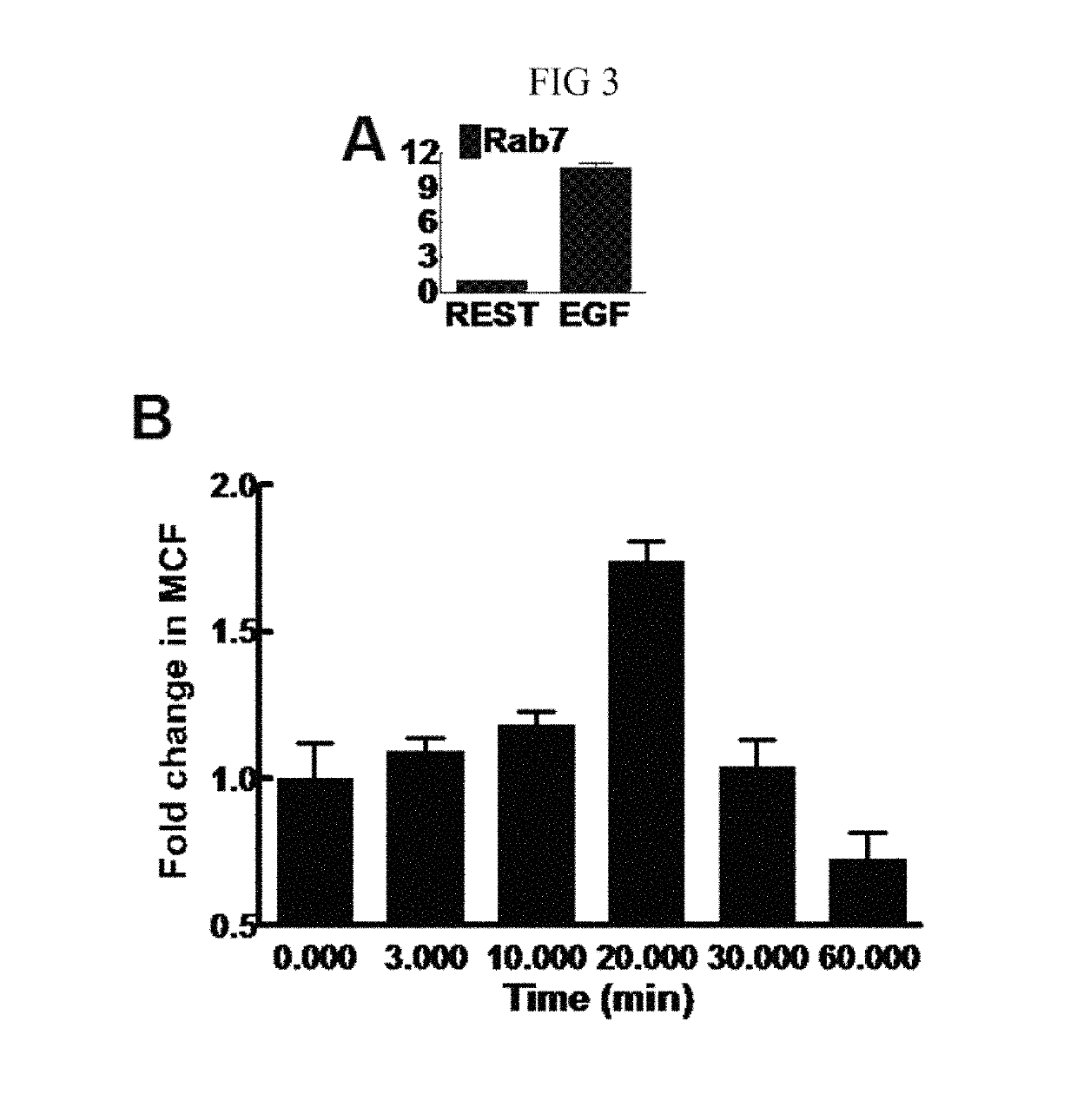 Activated GTPase-based assays and kits for the diagnosis of sepsis and other infections